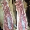 мясо свинины в тушах и п/туши 2 кат. охл в Тюмени